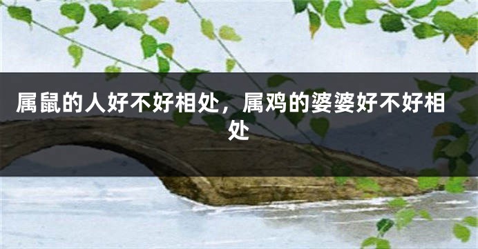 属鼠的人好不好相处，属鸡的婆婆好不好相处