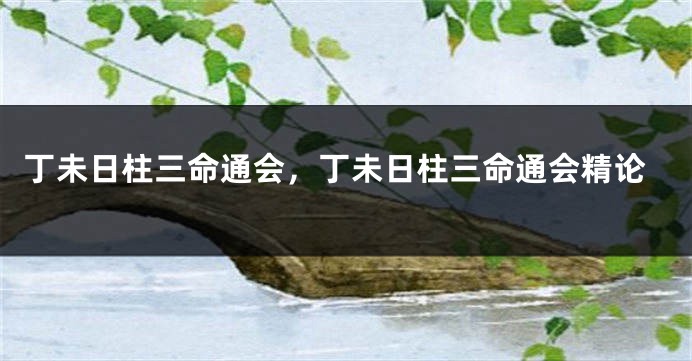 丁未日柱三命通会,丁未日柱三命通会精论