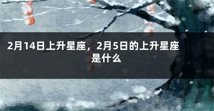 2月14日上升星座，2月5日的上升星座是什么
