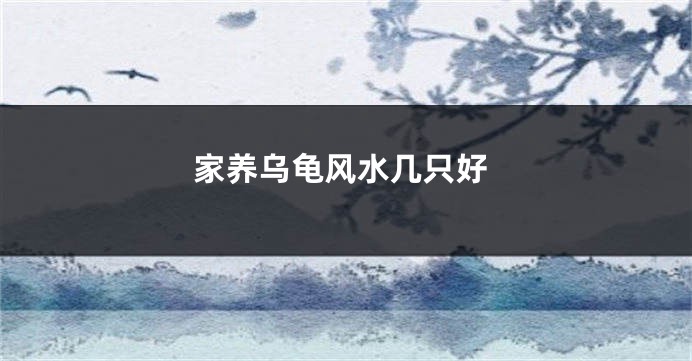 家养乌龟风水几只好