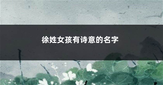 徐姓女孩有诗意的名字