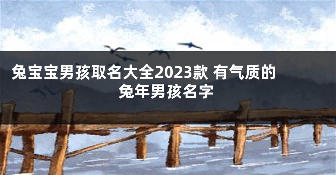 兔宝宝男孩取名大全2023款 有气质的兔年男孩名字