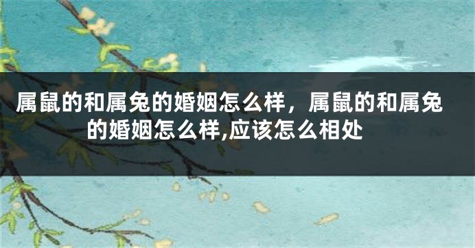 属鼠的和属兔的婚姻怎么样，属鼠的和属兔的婚姻怎么样,应该怎么相处