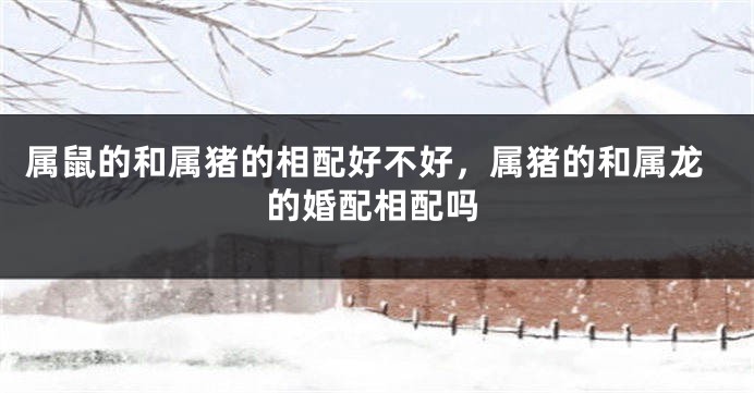 属鼠的和属猪的相配好不好，属猪的和属龙的婚配相配吗