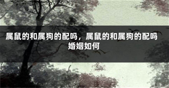 属鼠的和属狗的配吗，属鼠的和属狗的配吗婚姻如何