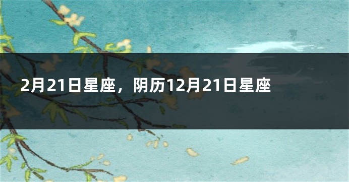 2月21日星座，阴历12月21日星座