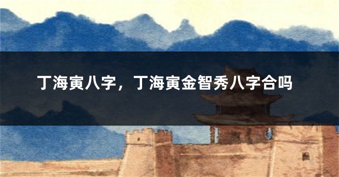 丁海寅八字，丁海寅金智秀八字合吗