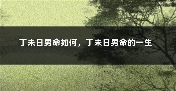 丁未日男命如何，丁未日男命的一生