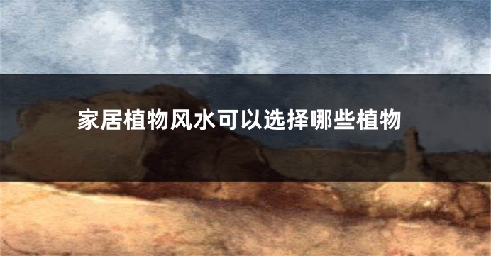 家居植物风水可以选择哪些植物