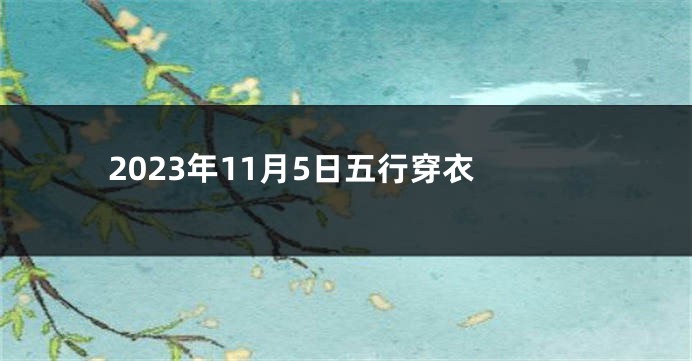 2023年11月5日五行穿衣