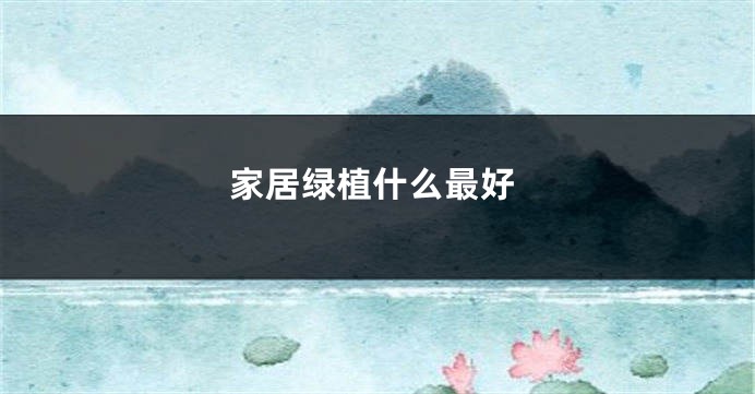 家居绿植什么最好