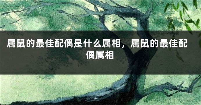属鼠的最佳配偶是什么属相，属鼠的最佳配偶属相