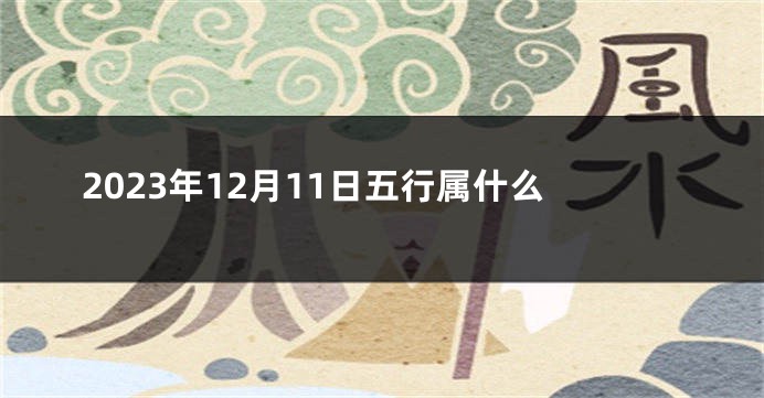 2023年12月11日五行属什么