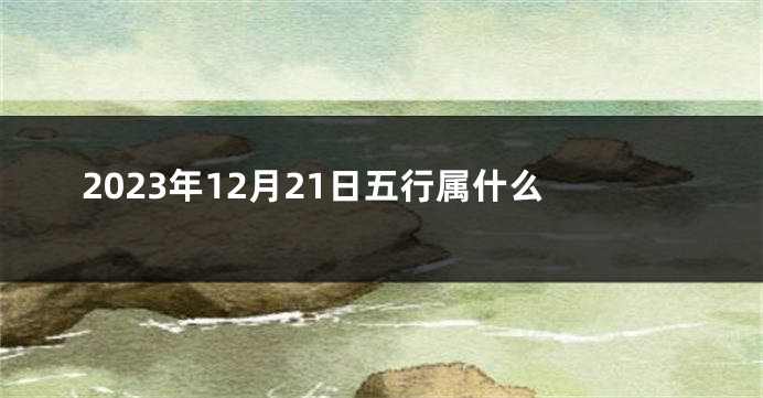 2023年12月21日五行属什么