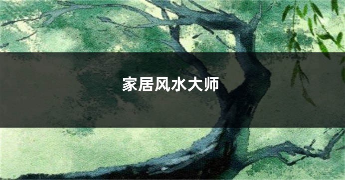 家居风水大师