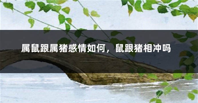 属鼠跟属猪感情如何，鼠跟猪相冲吗