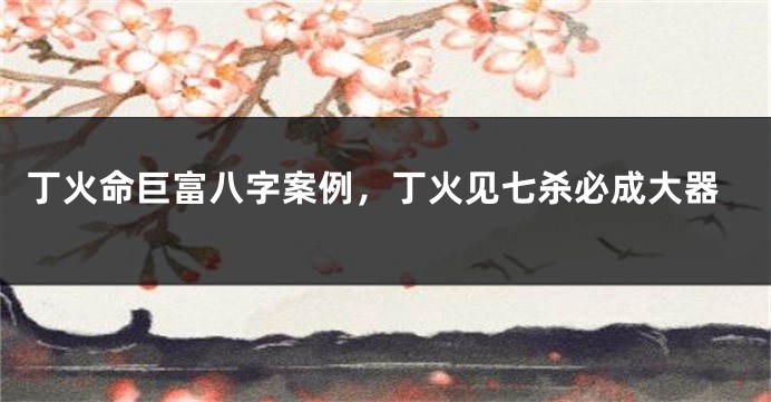 丁火命巨富八字案例，丁火见七杀必成大器