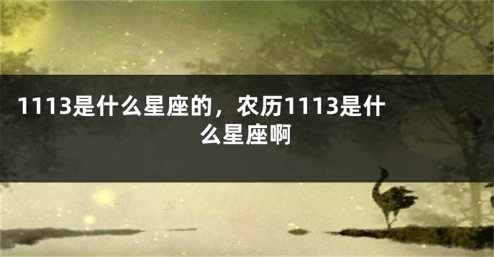 1113是什么星座的，农历1113是什么星座啊