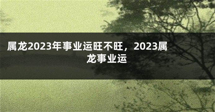 属龙2023年事业运旺不旺，2023属龙事业运