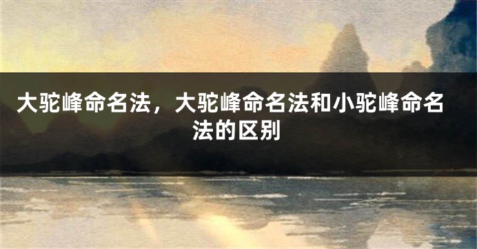 大驼峰命名法，大驼峰命名法和小驼峰命名法的区别