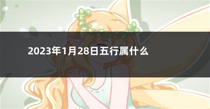 2023年1月28日五行属什么