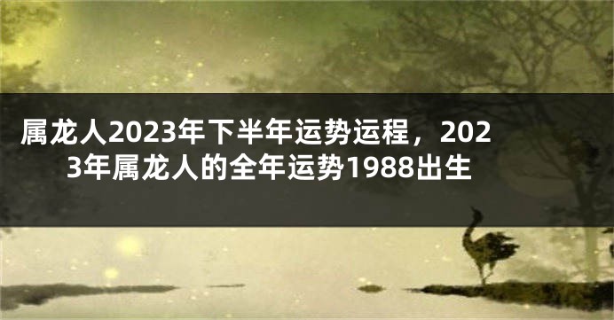 属龙人2023年下半年运势运程，2023年属龙人的全年运势1988出生