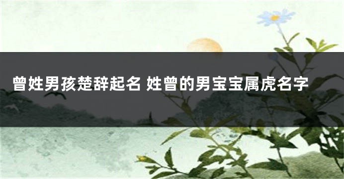 曾姓男孩楚辞起名 姓曾的男宝宝属虎名字