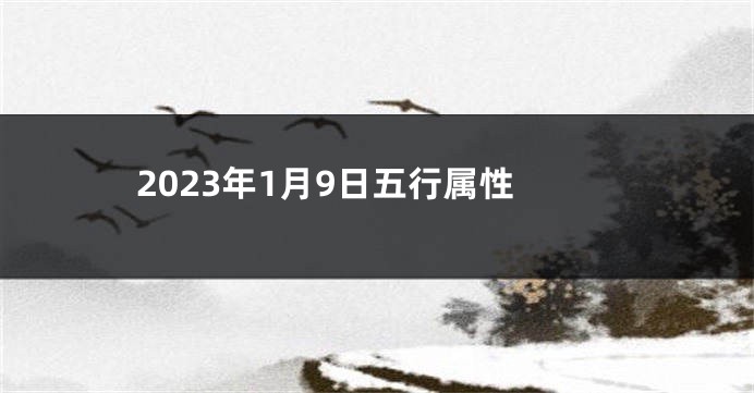 2023年1月9日五行属性
