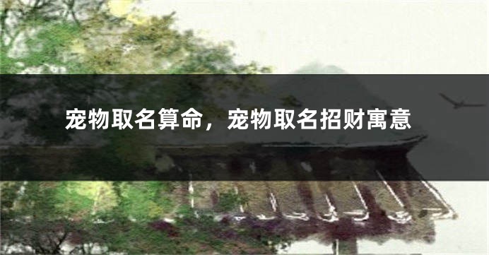 宠物取名算命，宠物取名招财寓意