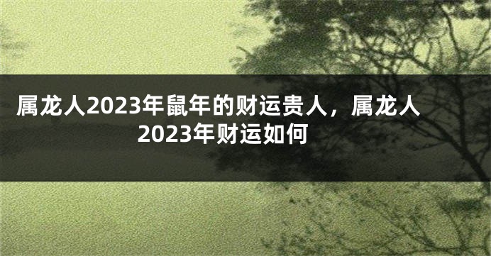 属龙人2023年鼠年的财运贵人，属龙人2023年财运如何