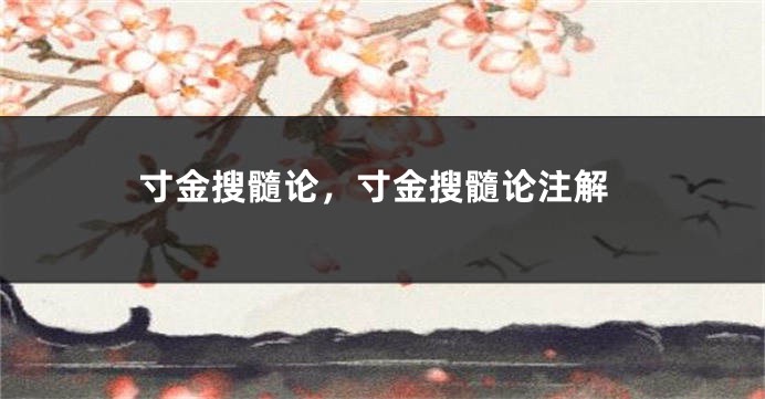 寸金搜髓论,寸金搜髓论注解