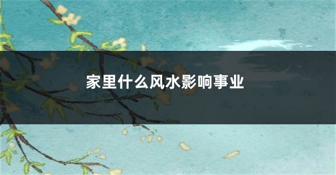 家里什么风水影响事业