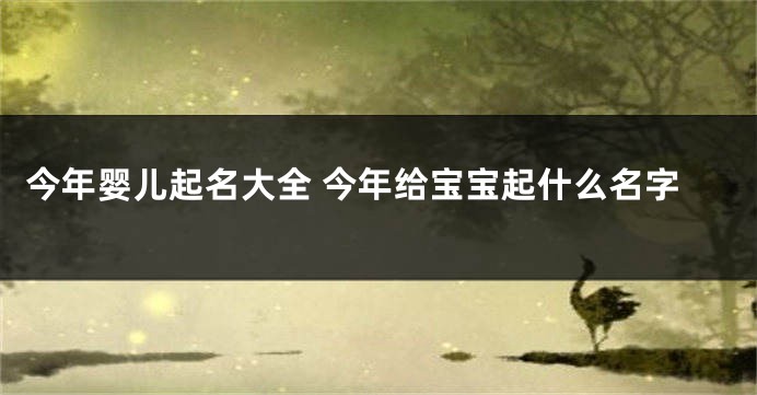 今年婴儿起名大全 今年给宝宝起什么名字