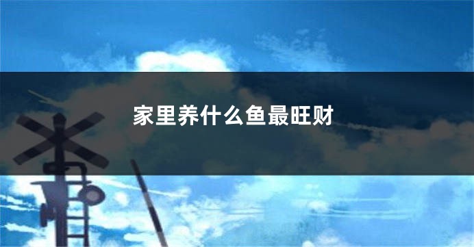 家里养什么鱼最旺财