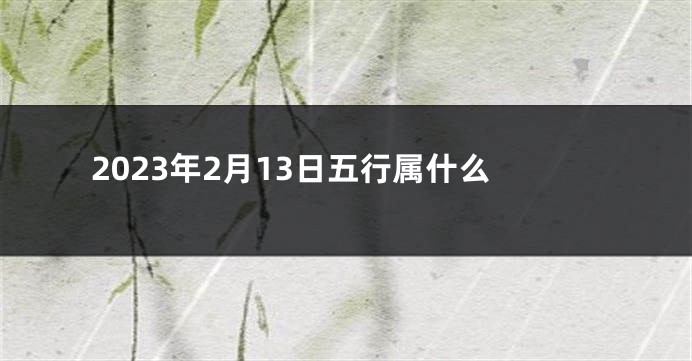 2023年2月13日五行属什么