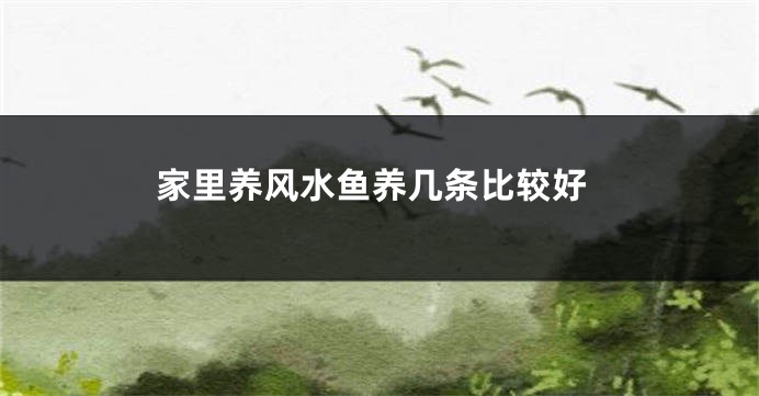 家里养风水鱼养几条比较好