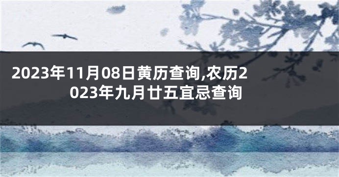 2023年11月08日黄历查询,农历2023年九月廿五宜忌查询
