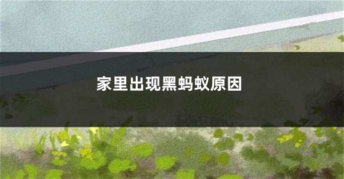 家里出现黑蚂蚁原因