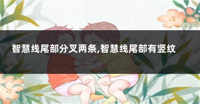 智慧线尾部分叉两条,智慧线尾部有竖纹