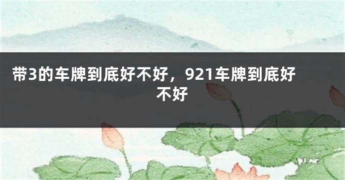 带3的车牌到底好不好，921车牌到底好不好