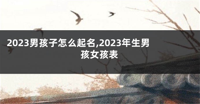 2023男孩子怎么起名,2023年生男孩女孩表