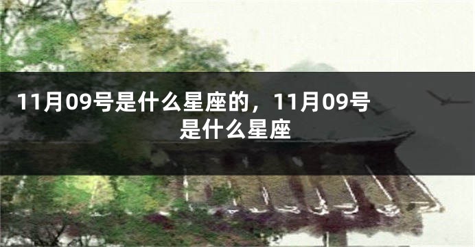 11月09号是什么星座的，11月09号是什么星座