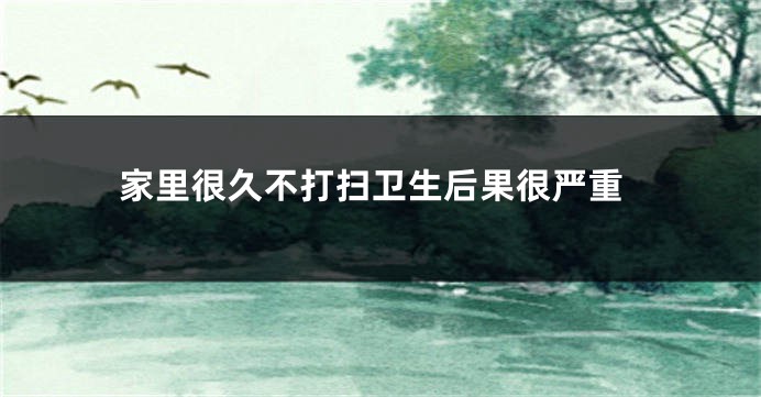 家里很久不打扫卫生后果很严重