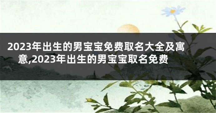 2023年出生的男宝宝免费取名大全及寓意,2023年出生的男宝宝取名免费