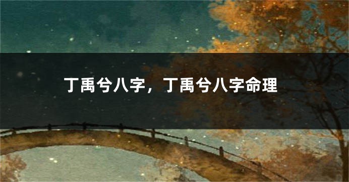 丁禹兮八字，丁禹兮八字命理
