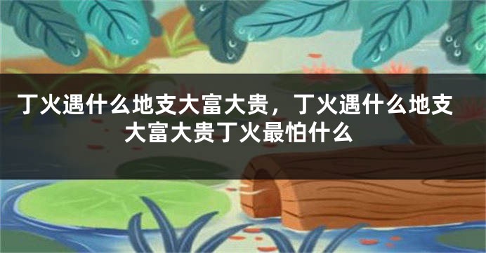 丁火遇什么地支大富大贵，丁火遇什么地支大富大贵丁火最怕什么