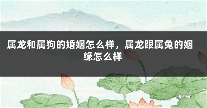 属龙和属狗的婚姻怎么样，属龙跟属兔的姻缘怎么样