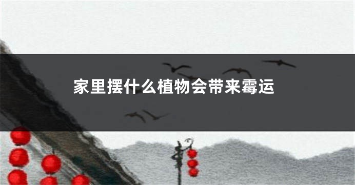 家里摆什么植物会带来霉运