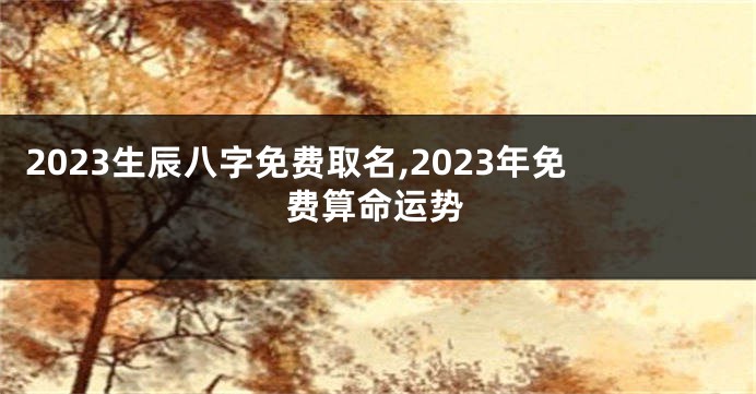 2023生辰八字免费取名,2023年免费算命运势