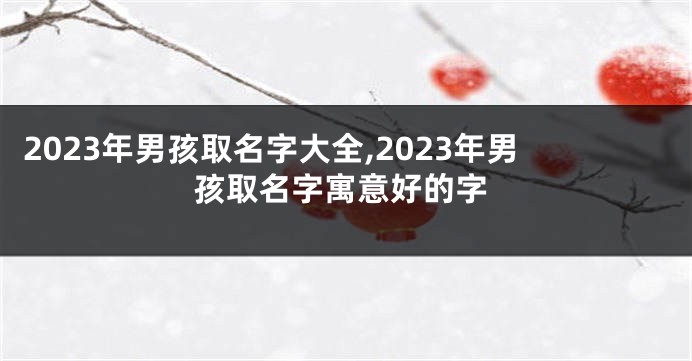 2023年男孩取名字大全,2023年男孩取名字寓意好的字